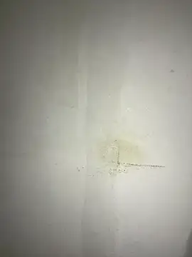 Snapshot of Hamza-Maroki chatting on November 2025 10:08:02 PM Hamza-Maroki online show from November 2025 10:08:02 PM