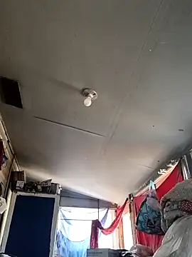 birdg online show from September 2025 06:18:01 PM