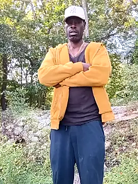 birdg online show from September 2025 04:01:02 PM