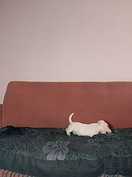 Snapshot of Jehan_Soto chatting on September 2025 05:12:02 PM Jehan Soto online show from September 2025 05:12:02 PM