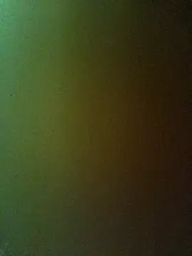 Snapshot of PPP-30 chatting on February 2025 01:40:02 PM PPP-30 online show from February 2025 01:40:02 PM