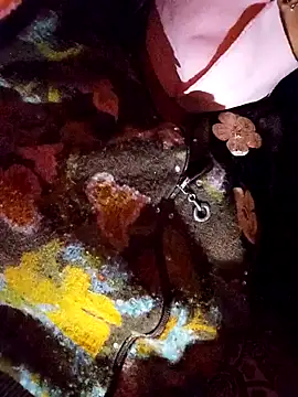 Snapshot of PPP_25 chatting on November 2025 01:54:02 PM PPP 25 online show from November 2025 01:54:02 PM