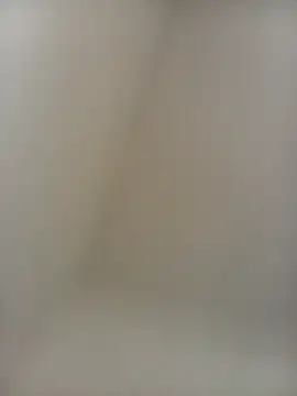 Snapshot of bosszonke123 chatting on February 2025 04:48:02 AM bosszonke123 online show from February 2025 04:48:02 AM