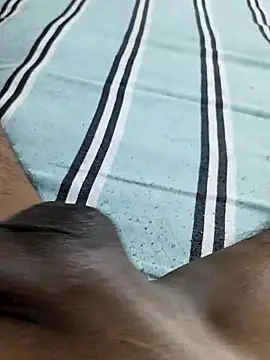 desi pb02 online show from March 2026 02:20:02 PM