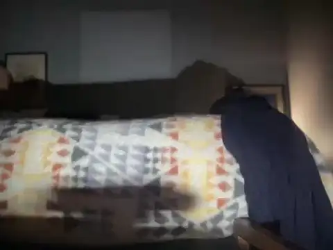 Snapshot of DominantDong chatting on December 2025 11:28:02 AM DominantDong online show from December 2025 11:28:02 AM