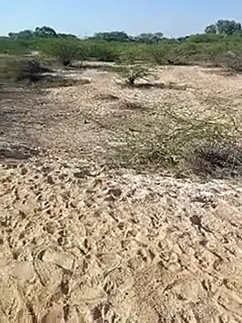 Snapshot of Delhi_BoyBigcock chatting on March 2025 03:05:02 AM Delhi BoyBigcock online show from March 2025 03:05:02 AM