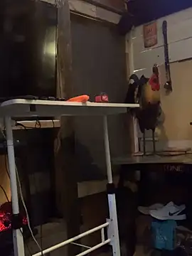 Snapshot of Polaroid_White chatting on March 2025 06:41:01 AM Polaroid White online show from March 2025 06:41:01 AM