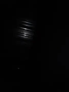 TheBlackT online show from June 2026 03:55:02 AM