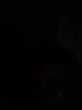 TheBlackT online show from July 2026 04:04:02 AM