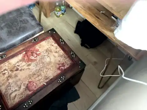 femboybandi online show from January 2026 02:22:02 PM