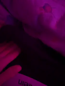 mario 6 9 9 0 online show from March 2025 08:55:01 PM