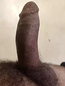 Snapshot of alkhabiir chatting on November 2025 08:17:02 AM alkhabiir online show from November 2025 08:17:02 AM