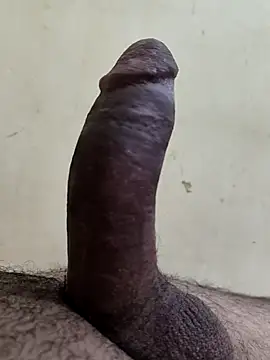 Snapshot of alkhabiir chatting on November 2025 06:08:01 PM alkhabiir online show from November 2025 06:08:01 PM