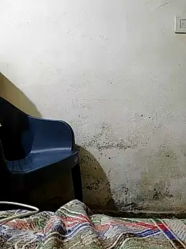 pallu telgu kannada online show from September 2025 05:04:02 PM