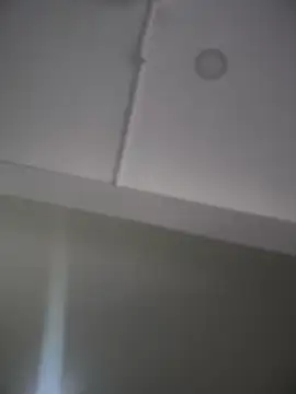 Mila LS online show from November 2025 12:50:02 PM