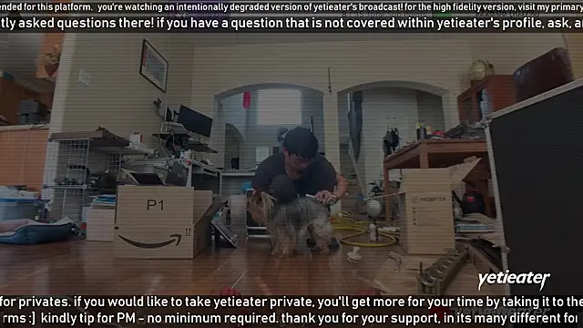 yetieater online show from February 2025 05:22:02 PM