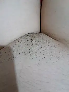 Snapshot of yakot7 chatting on October 2025 12:11:02 AM yakot7 online show from October 2025 12:11:02 AM