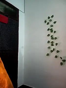 Neha-Bhabhi-Rasily online show from November 2025 05:20:01 AM