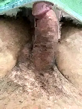 Iliase online show from November 2025 09:17:02 AM