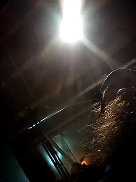 Snapshot of SirJonBradley chatting on September 2025 10:49:02 AM SirJonBradley online show from September 2025 10:49:02 AM