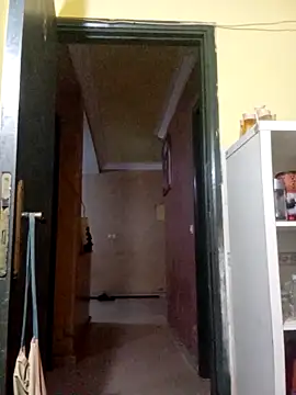 patrona sexooo online show from November 2025 09:46:02 PM