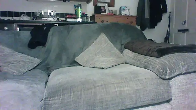 Snapshot of Grower_and_shower chatting on November 2025 11:42:02 PM Grower and shower online show from November 2025 11:42:02 PM