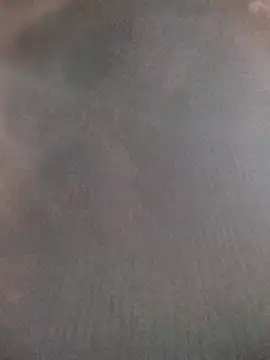 saraaxx1 online show from November 2025 10:04:02 AM