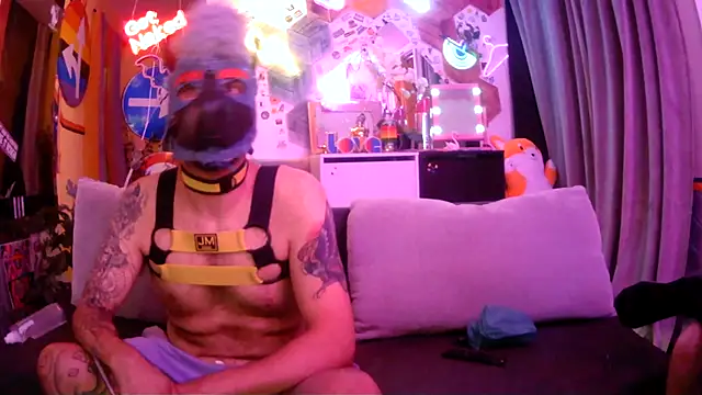 danix wild wolf online show from July 2026 10:29:02 PM