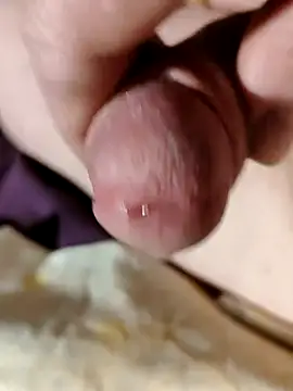 --Serhei-- online show from February 2026 04:54:02 PM