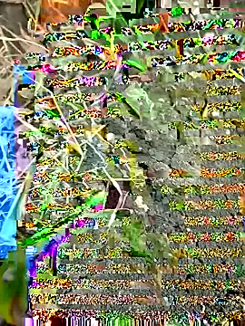 himvilohi08 online show from September 2025 12:32:01 PM