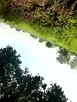 himvilohi08 online show from October 2025 05:27:01 AM