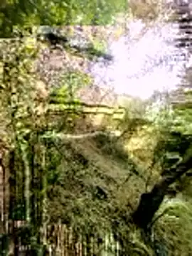 himvilohi08 online show from March 2026 03:23:01 AM