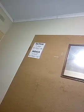 bakedsnackmmh online show from March 2026 06:09:02 PM