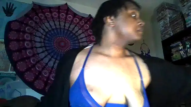 GardeniaFields online show from April 2026 11:30:02 AM