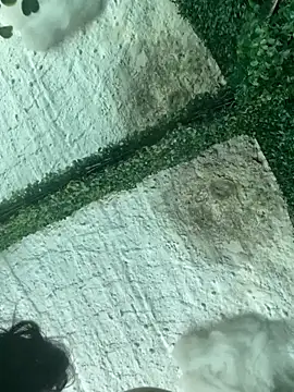 val zx online show from March 2026 06:44:01 PM