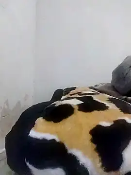 Snapshot of CertifiedSatisfier chatting on October 2025 01:46:02 PM CertifiedSatisfier online show from October 2025 01:46:02 PM