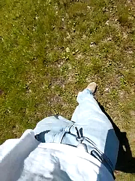 boasbuiten online show from May 2026 12:11:02 PM