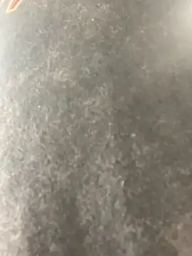 anthonyroth online show from November 2025 08:54:01 PM