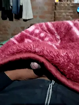 tarabhai11 online show from February 2026 04:06:01 PM