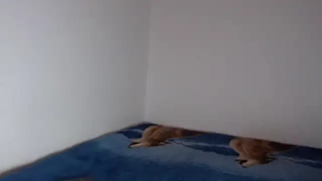 sharon sexy  online show from November 2025 08:41:01 PM