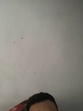 HenriquePhn online show from June 2026 09:35:02 AM