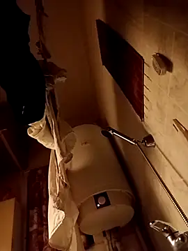 Snapshot of Tomassasdss chatting on March 2026 02:17:02 AM Tomassasdss online show from March 2026 02:17:02 AM