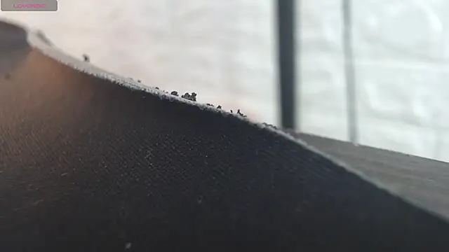 nei girl online show from November 2025 11:47:02 AM