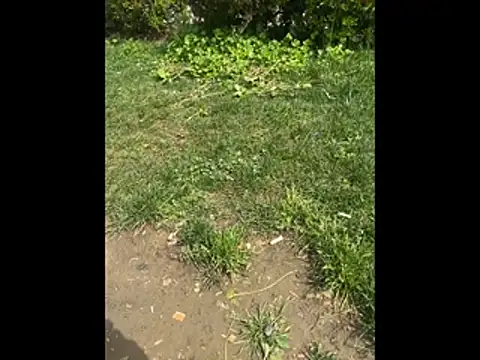 giyasbvnghkgkfk online show from April 2026 10:35:02 AM