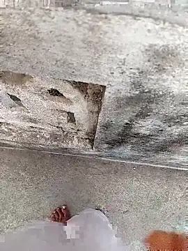 A-1PLAYBOY0 online show from January 2026 03:10:02 AM