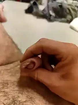 Snapshot of savitar2397 chatting on March 2025 03:45:01 AM savitar2397 online show from March 2025 03:45:01 AM