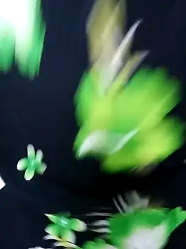 Snapshot of tamiltady chatting on September 2025 05:57:02 PM tamiltady online show from September 2025 05:57:02 PM