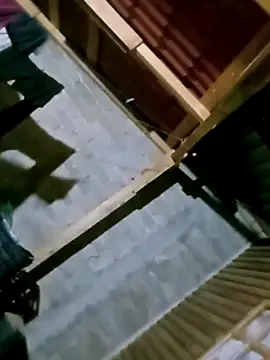 Snapshot of luuiss12 chatting on October 2025 02:31:01 AM luuiss12 online show from October 2025 02:31:01 AM