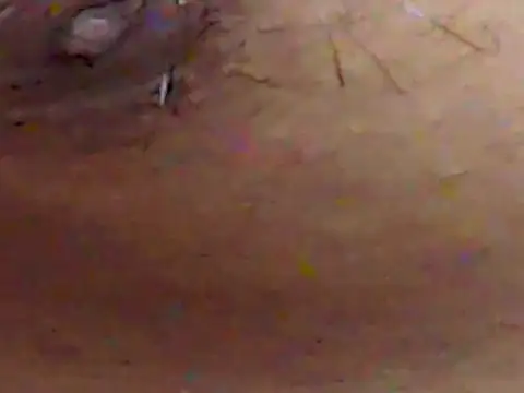 Snapshot of ChiseledCharm chatting on September 2025 02:51:01 PM ChiseledCharm online show from September 2025 02:51:01 PM