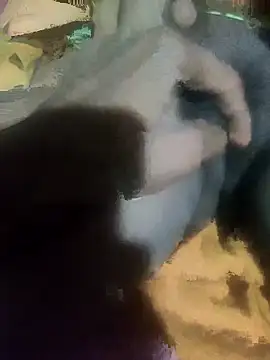 sshrichandra online show from November 2025 08:08:02 PM